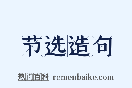 节选造句是什么意思的图片